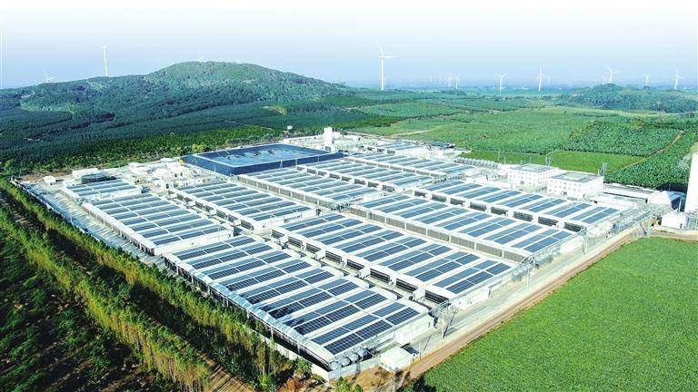河南新发展丨牧原集团以科技推动生猪产业绿色发展