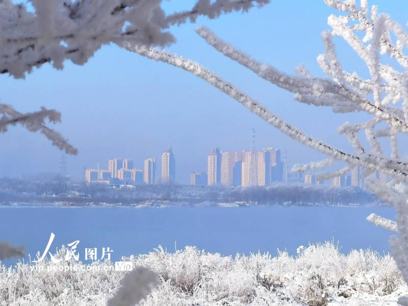 吉林松花江畔，今冬首现银装素裹雾凇奇观