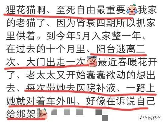 治愈夫妇超话，互宠如孩子，温暖相伴胜良药