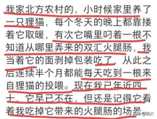 治愈夫妇超话，互宠如孩子，温暖相伴胜良药