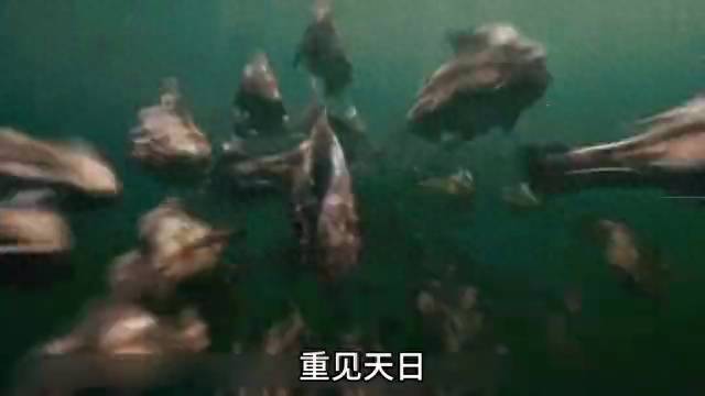 《食人鱼3D》湖底震出大裂缝，惊悚奇观险象环生！