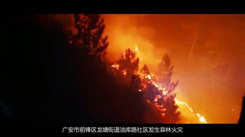 四川省森林草原火灾警示教育片，守护绿色家园