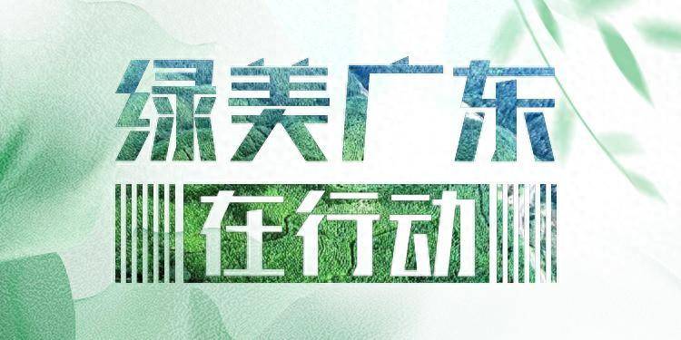 广东启动古树认捐项目，8万余株古树等待社会捐助