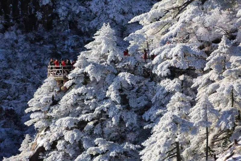 黃山旅遊氣象的微博，氣象景觀，黃山旅遊的新引力？