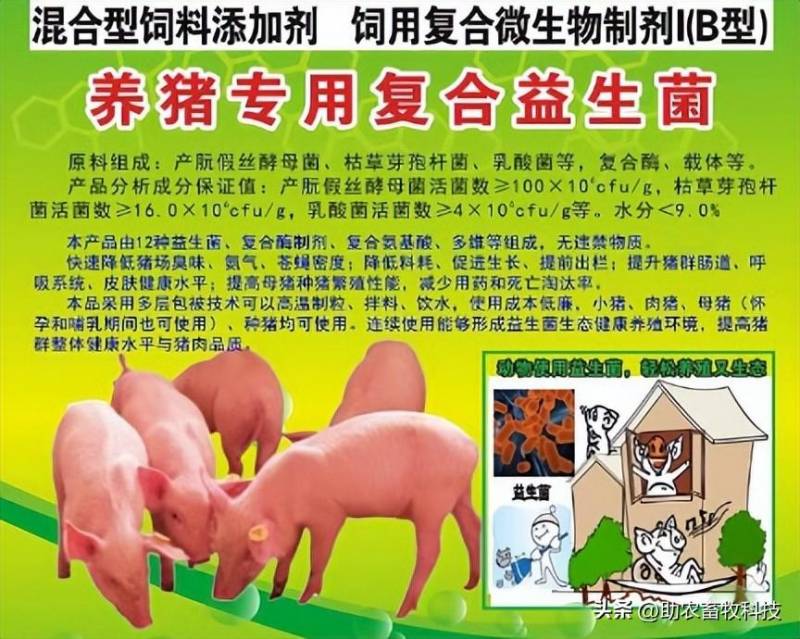 兴业自动化种养系统，生猪饲喂高效环保