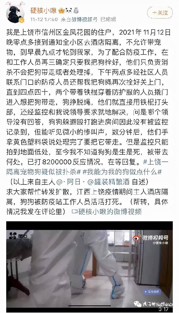 郃肥晚報的微博，關注後續，江西殺狗事件中的聲討者現狀如何？