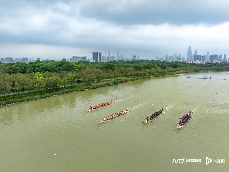 现场报道，广州海珠湿地举行龙舟竞渡盛况，龙船景赛事正式启动