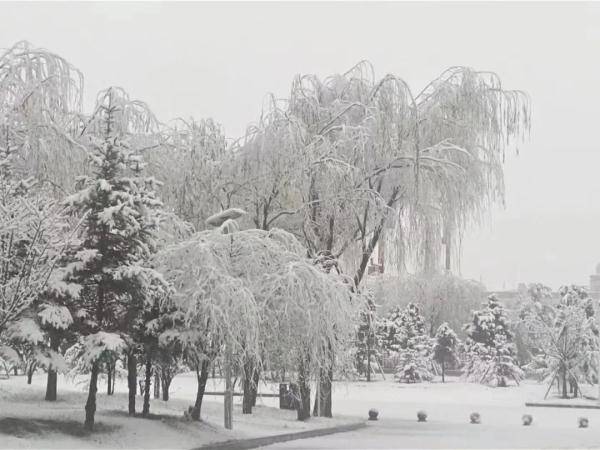 惊喜！昆明下雪啦！冬日美景初现