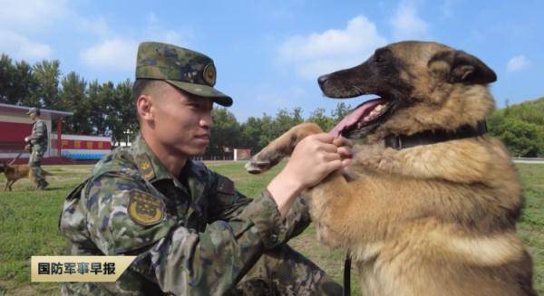 巅峰犬舍，一级功勋犬与训导员的温馨邂逅