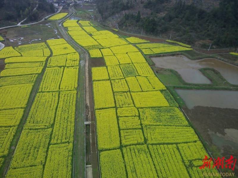 富平吧 | 悠然見南山，詩意棲息地