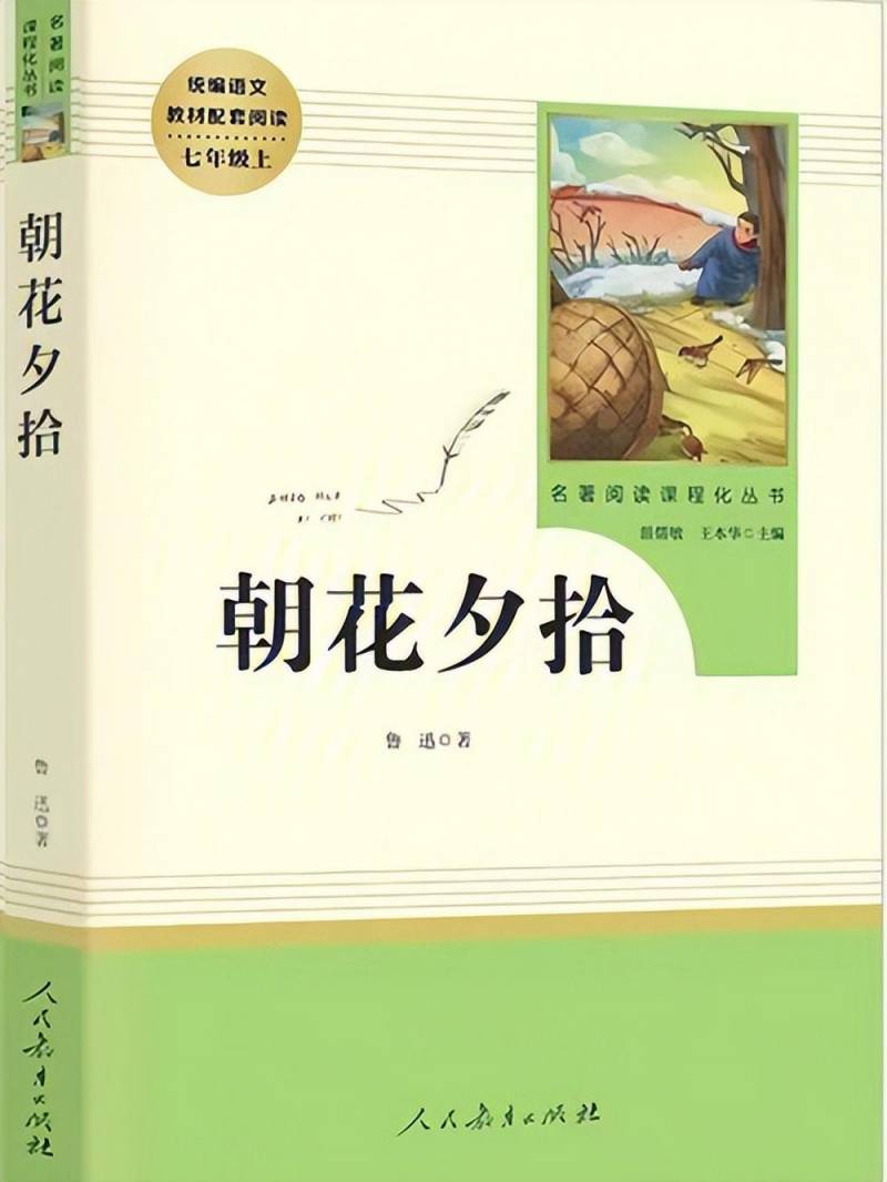 这四本儿时畅销书，重温童年美好记忆！