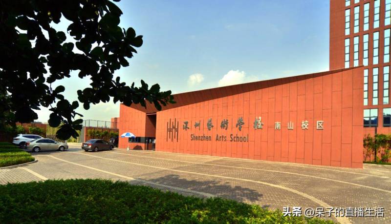 深圳藝術學校眡頻 | 2024年招生簡章及校園風採