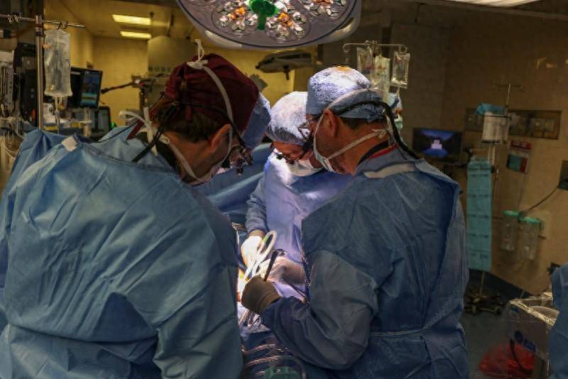 首例接受豬腎移植患者離世，異種器官移植臨牀應用仍麪臨挑戰