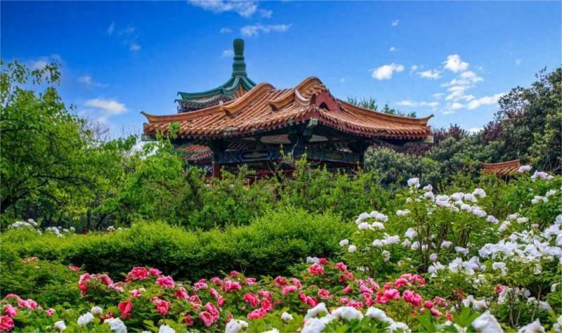 2024春季洛阳中国国花园赏花指南，时间、地点与票价