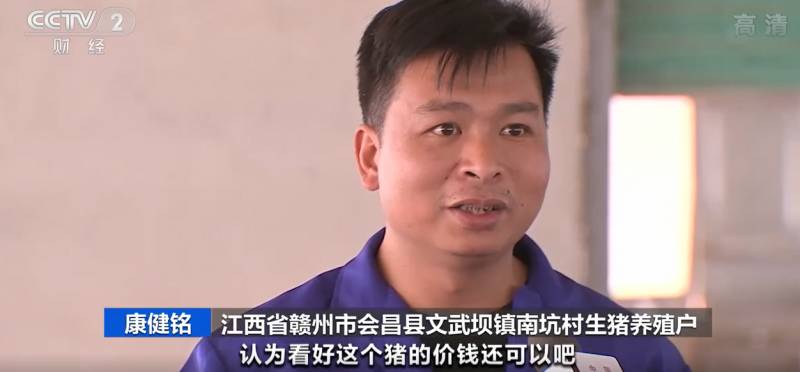 猪肉价格连降九周，养殖户亏损加剧，低价肉时代将持续？