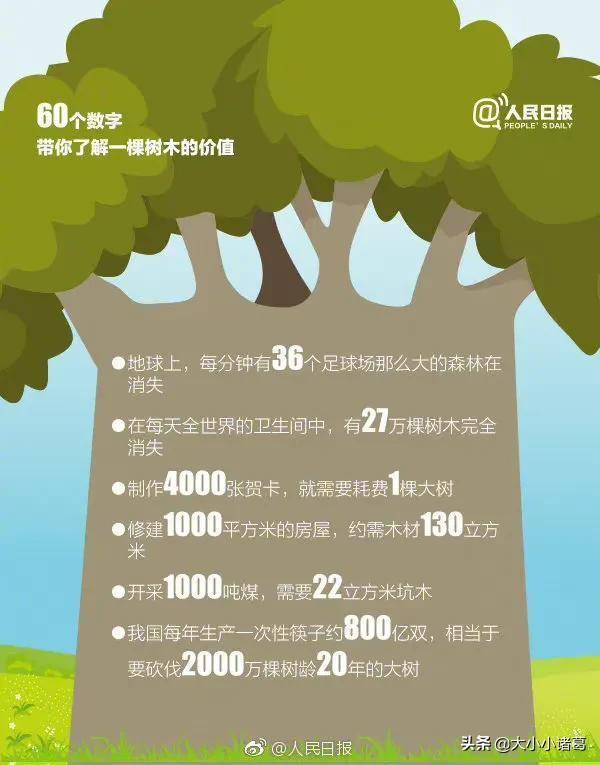 45个数字解读，一棵树的生态与经济价值