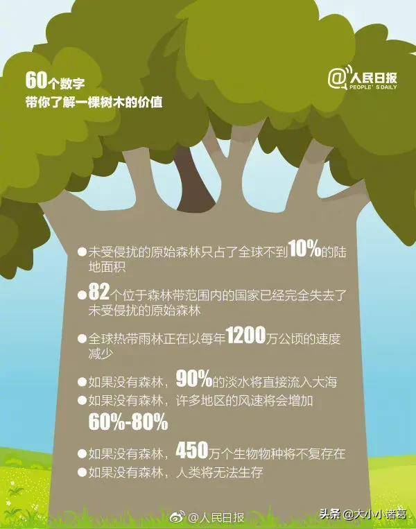 45个数字解读，一棵树的生态与经济价值