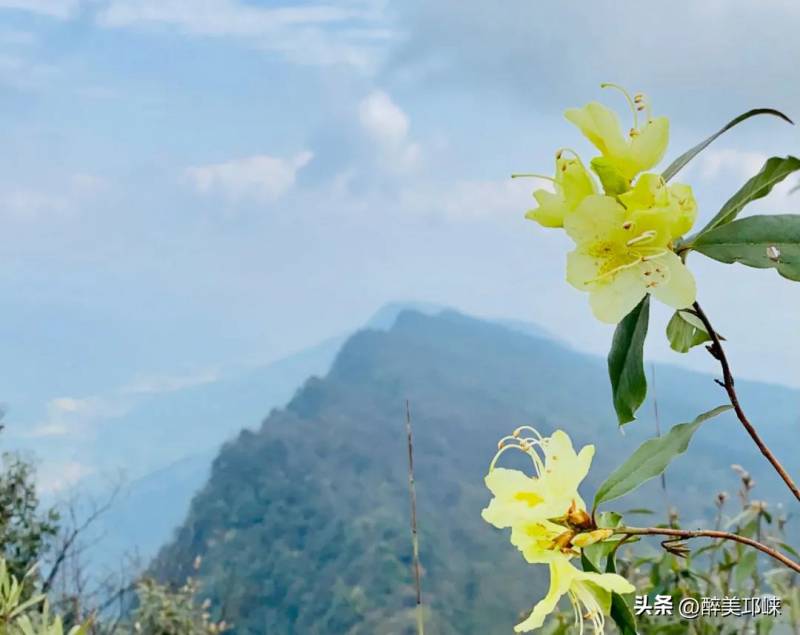 成都天台山，春意盎然，登山赏景佳地！