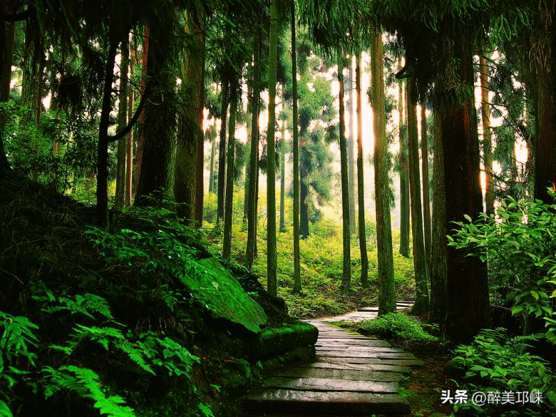 成都天台山，春意盎然，登山赏景佳地！