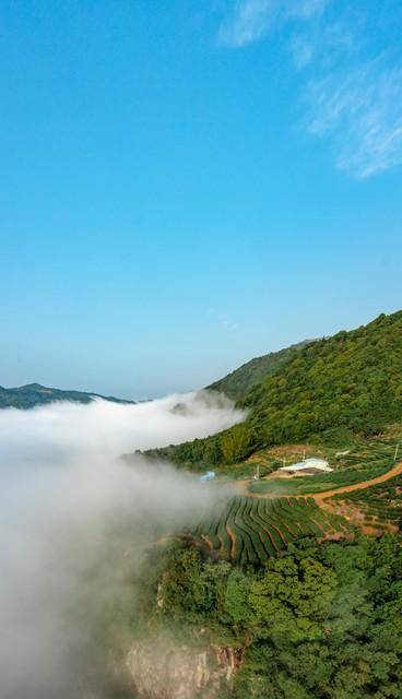 梅州五指石景区，夏季避暑秘境，广东人少知的清凉地 