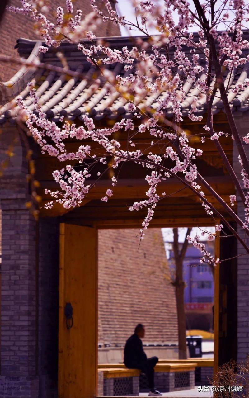 大家千呼万唤的甘肃旅游攻略来辣——赴一场历史的芳香之旅，不止是丹霞地貌