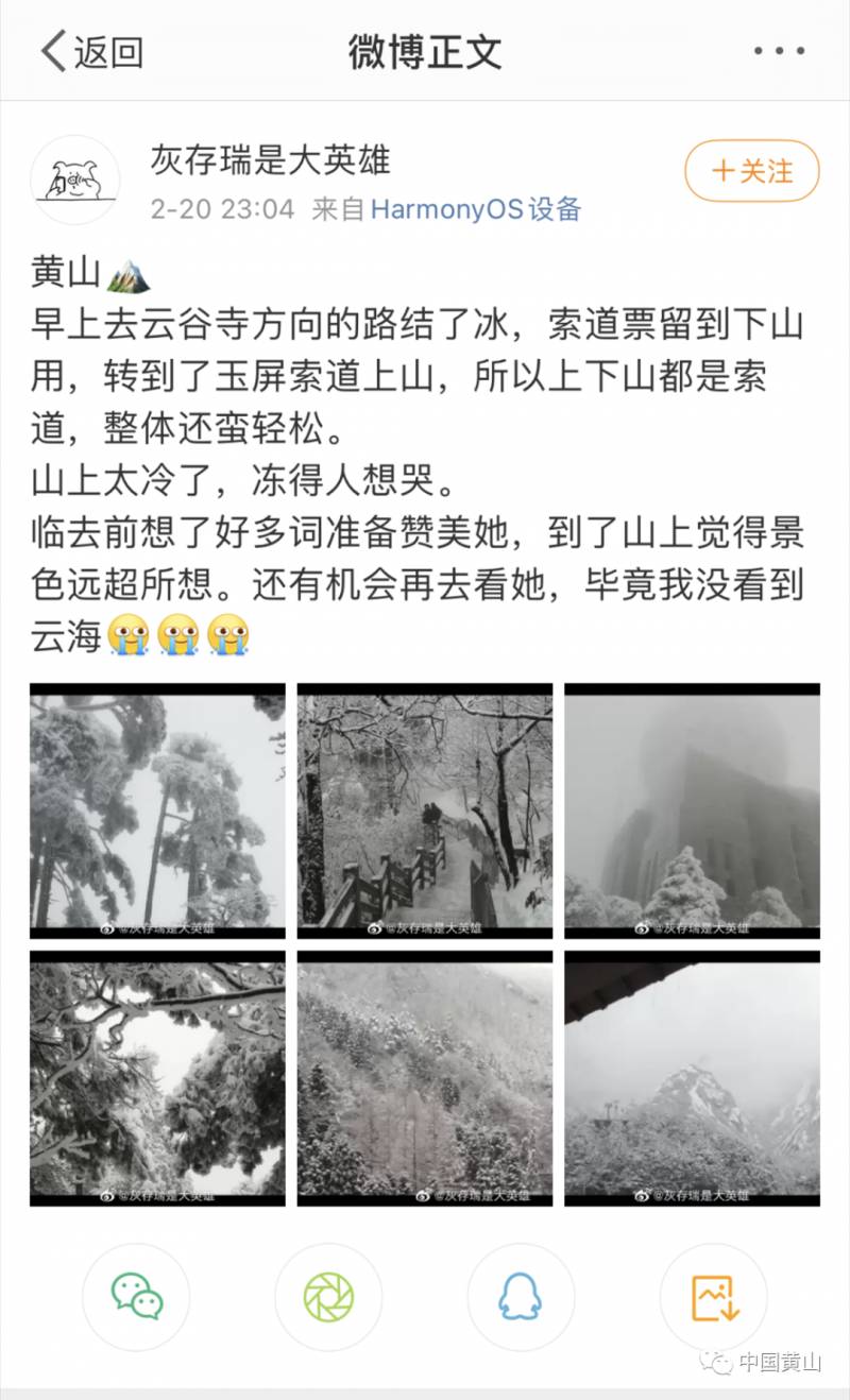 黄山的微博，冬日雪景，美不胜收，转发点赞！