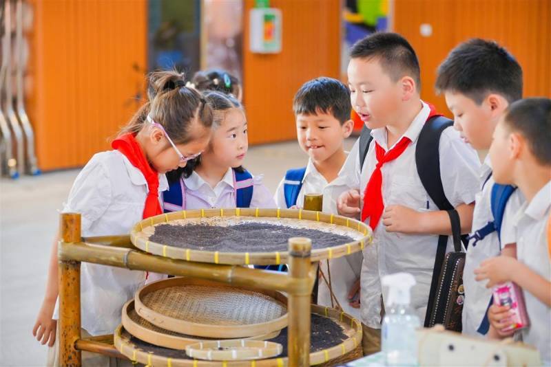 武汉光谷小学生连续三年参与劳动技能抽测，成果影响学校评价得分