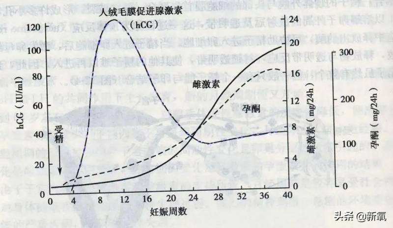 韩佳人自曝是试管生子，生完后笑称自己是“袋鼠妈妈”