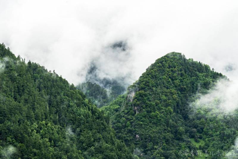 泸沽湖到香格里拉，美景难掩心痛，旅行故事令人感慨