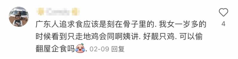 南丹瑶鸡，广西特色赢味蕾，挑战广东吃鸡大省名号