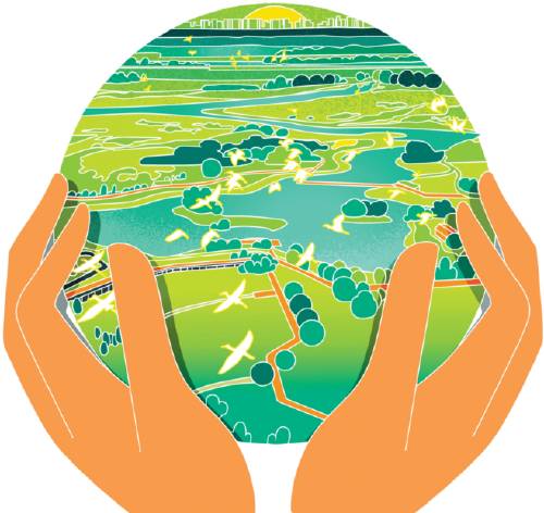 世界湿地日 | 守护生态宝库，携手共筑绿色未来