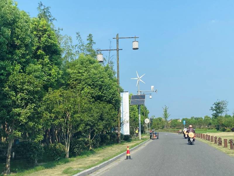 抓住夏天的尾巴，漫步古荡品味残荷清香