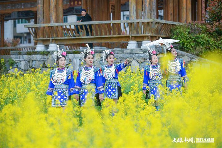 天柱县注溪乡，传统歌会闹春耕，油菜花海映笑脸