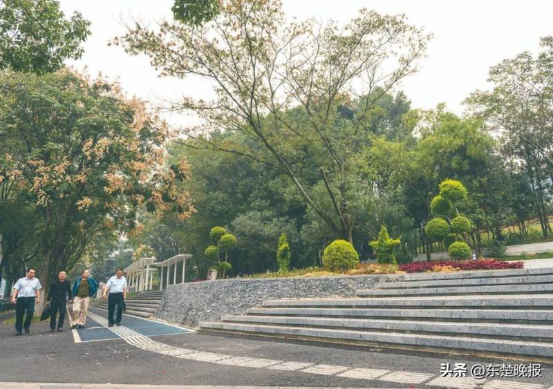 黄石遇见桃花源婚恋微博，寻觅心坎里的美丽邂逅