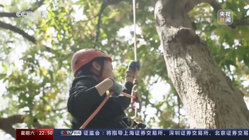 不止于攀登！攀岩教练引领学生触摸自我极限