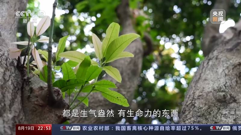 不止於攀登！攀巖教練引領學生觸摸自我極限