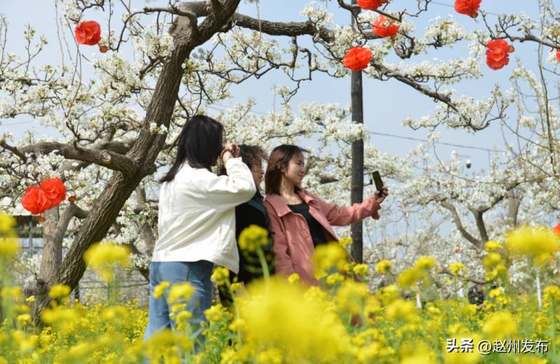 赵县政务公开微博，县委县政府给在外乡亲的温馨寄语