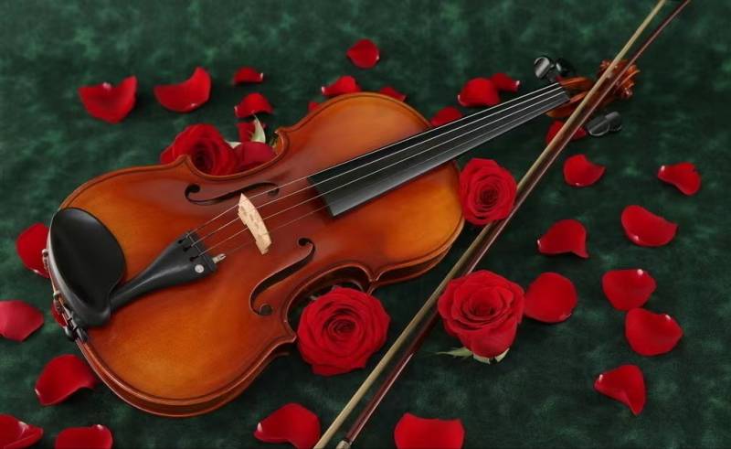 對話小提琴縯奏家張晗，低音提琴技巧與藝術傚果精進之路