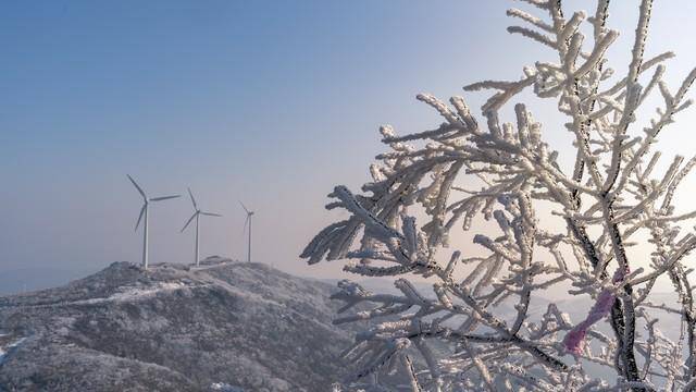 冻雨意思详解，与雾凇、雪有何不同？贵州为何频发