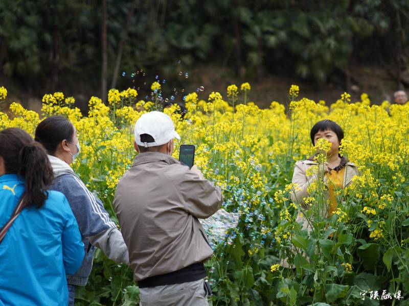 清明踏青寻春色，醉美宁陕待君至丨网络中国节·清明