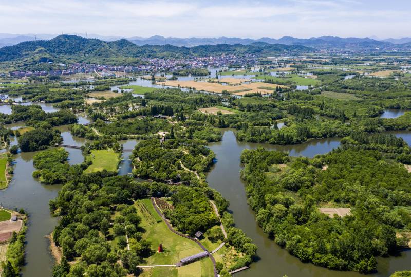 夏花网｜缤纷国度，白塔湖畔 初夏花影舞动