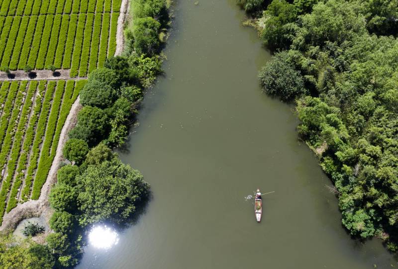 夏花网｜缤纷国度，白塔湖畔 初夏花影舞动