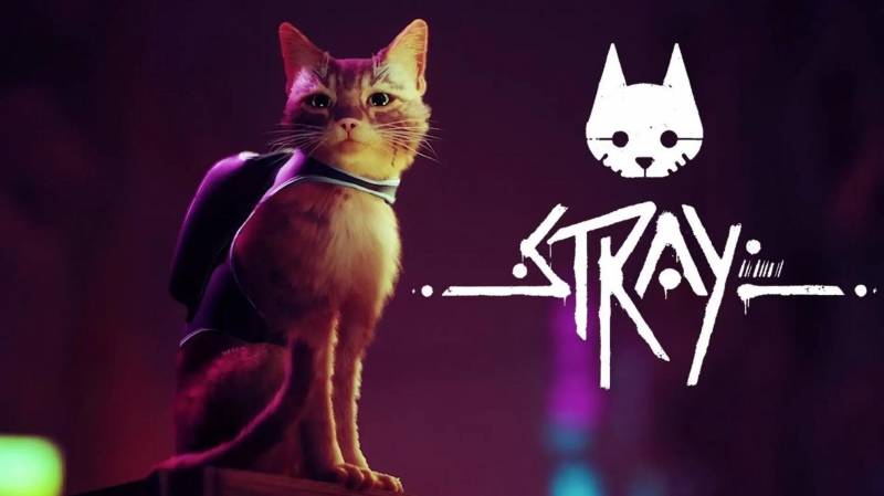 《Stray》，猫奴收割机，谁能抗拒这萌度？