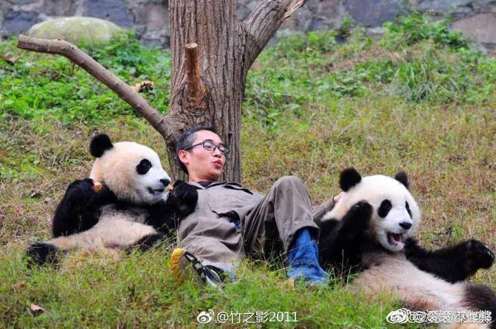 熊猫Nono，不止萌兰与花花，杨煤碳家族的甜蜜生活