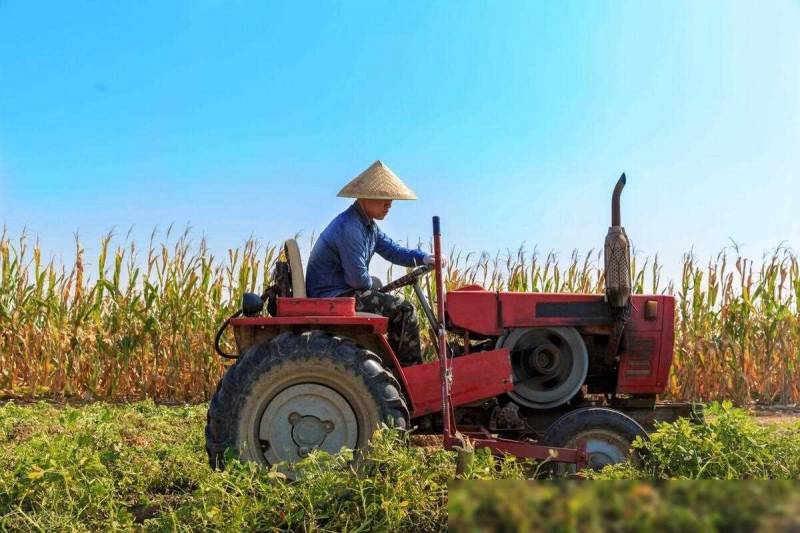 农业农村法律问题解析，承包地权益与农业产业发展