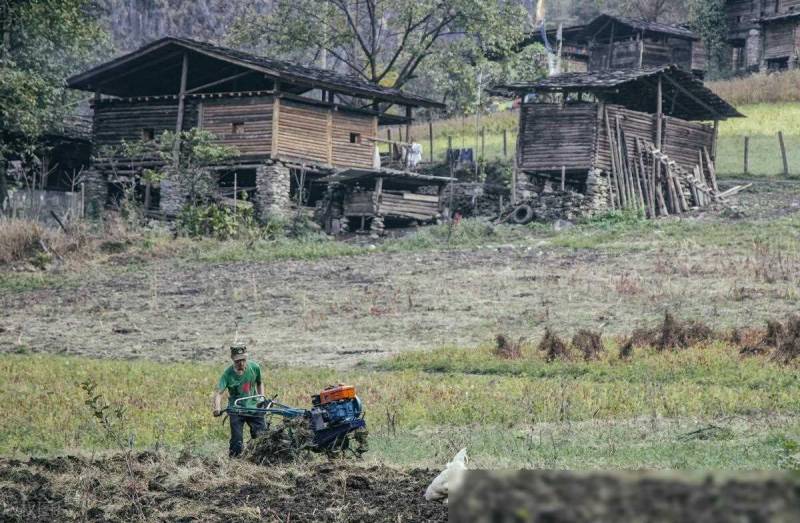 农业农村法律问题解析，承包地权益与农业产业发展