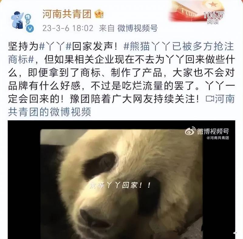 熊猫丫丫已被多方抢注商标，这一热度是否过度蹭了？