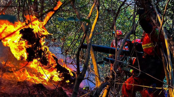 桂林10.17森林火灾纪实，兴安火情得到控制 纵火犯被捕