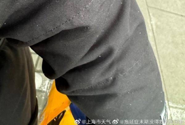 上海发布微博，大风蓝色预警！市民迎“头皮雪”，独特拍照姿势走红