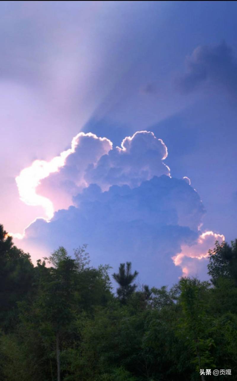 雨宫琴音的微博，悠扬琴声，雨后山谷的思念流淌。